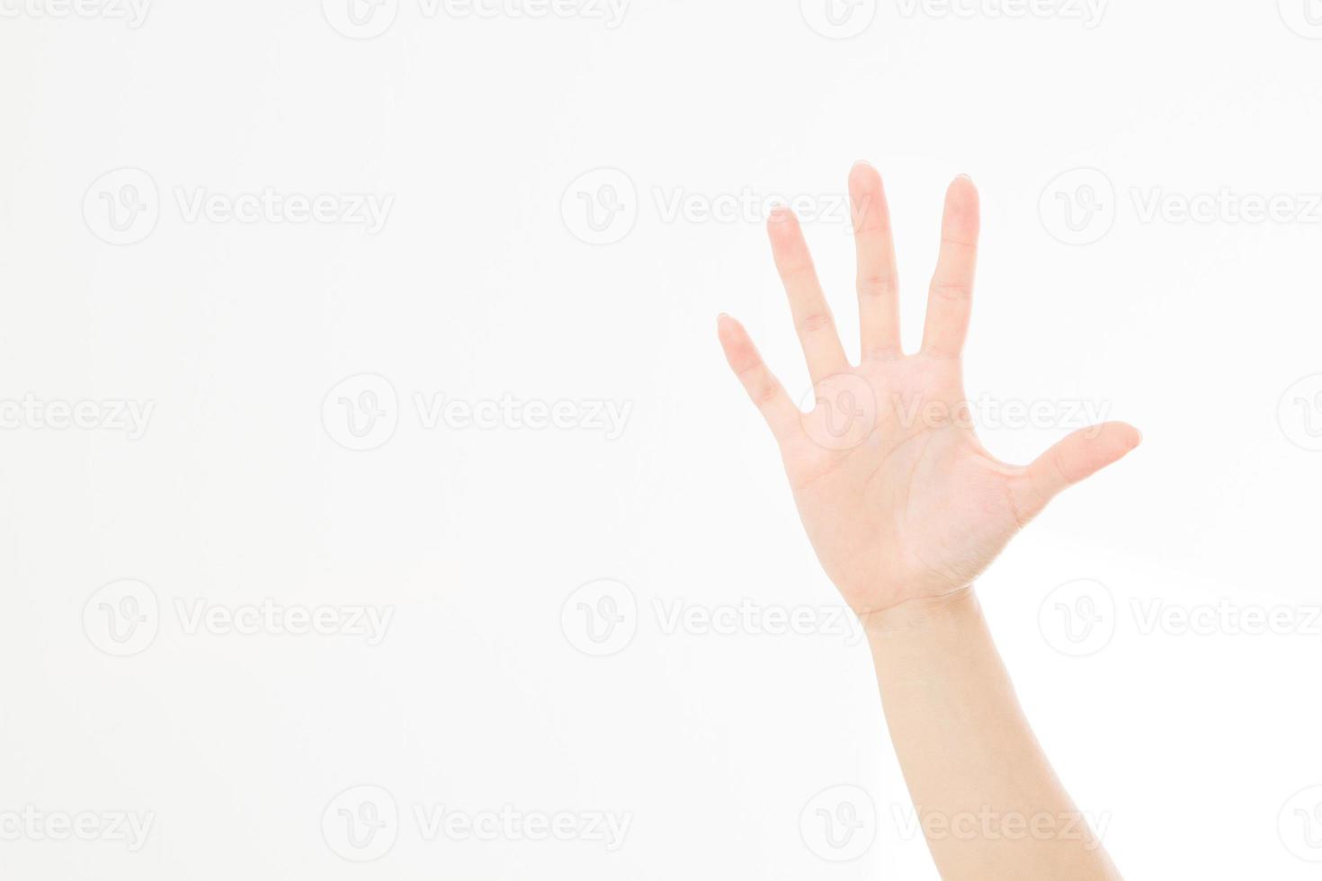 hand isolated on white.Voting hand. Mock up. Copy space. Template. Blank. photo