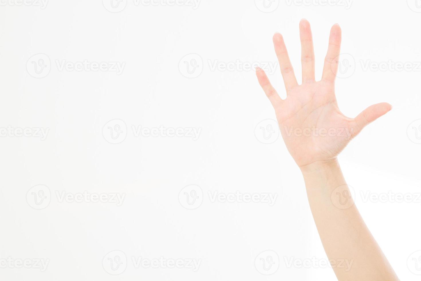 hand isolated on white.Voting hand. Mock up. Copy space. Template. Blank. photo