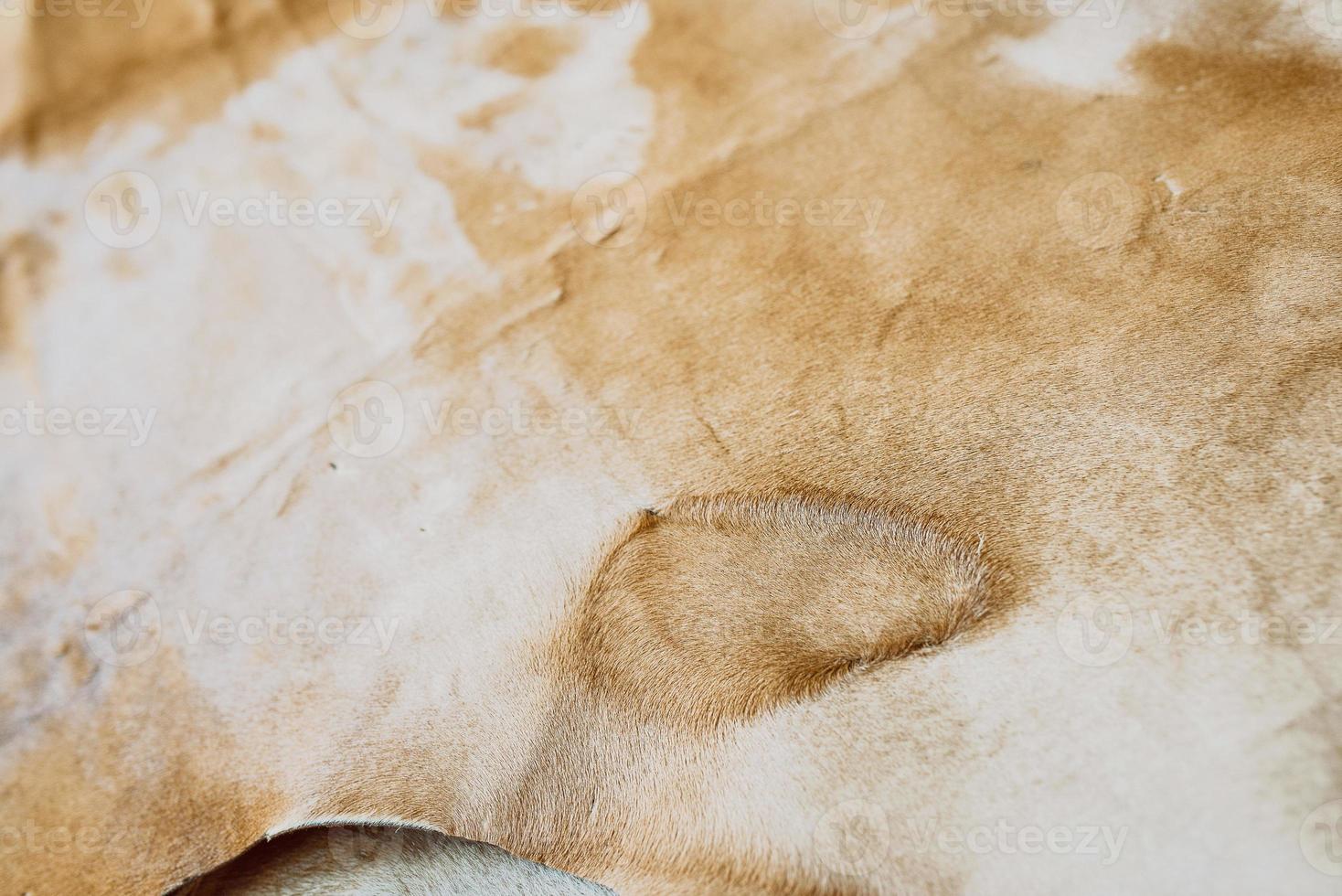 natural leather animal fur texture photo