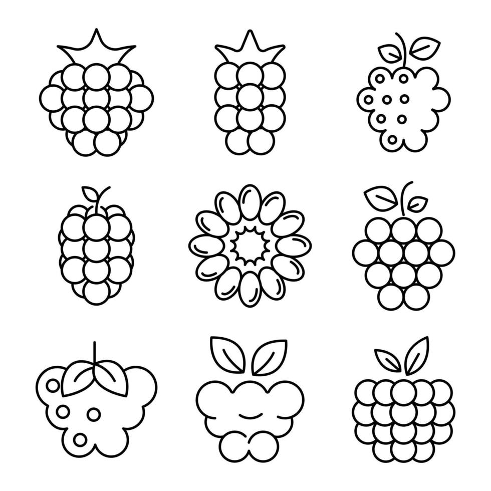conjunto de iconos de frambuesa, estilo de esquema vector
