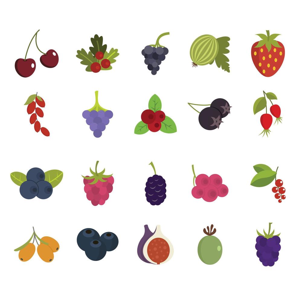 Berries icon set, flat style vector