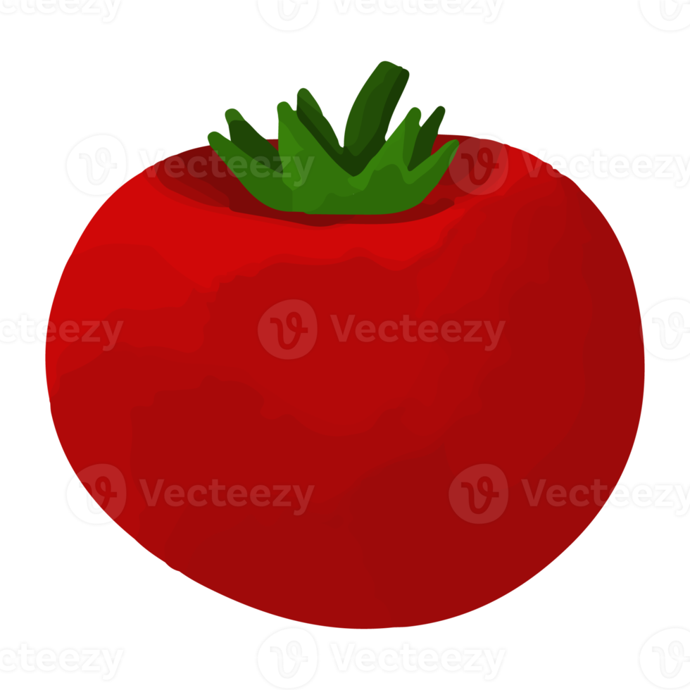 Watercolor Tomato, Hand painted vegetables clipart png