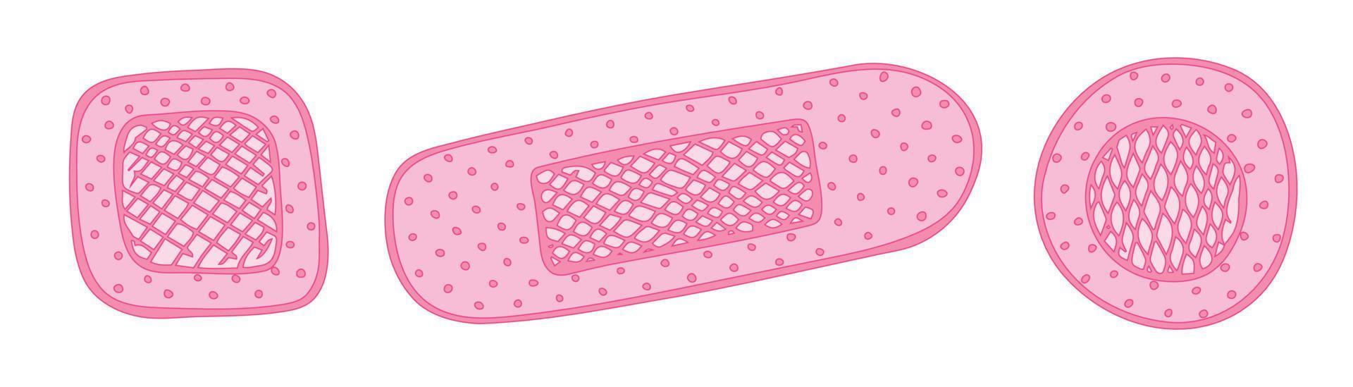 Adhesive bandage as medical first aid concept. Hand drawn medical clipart. For print, web, design, decor, logo. vector