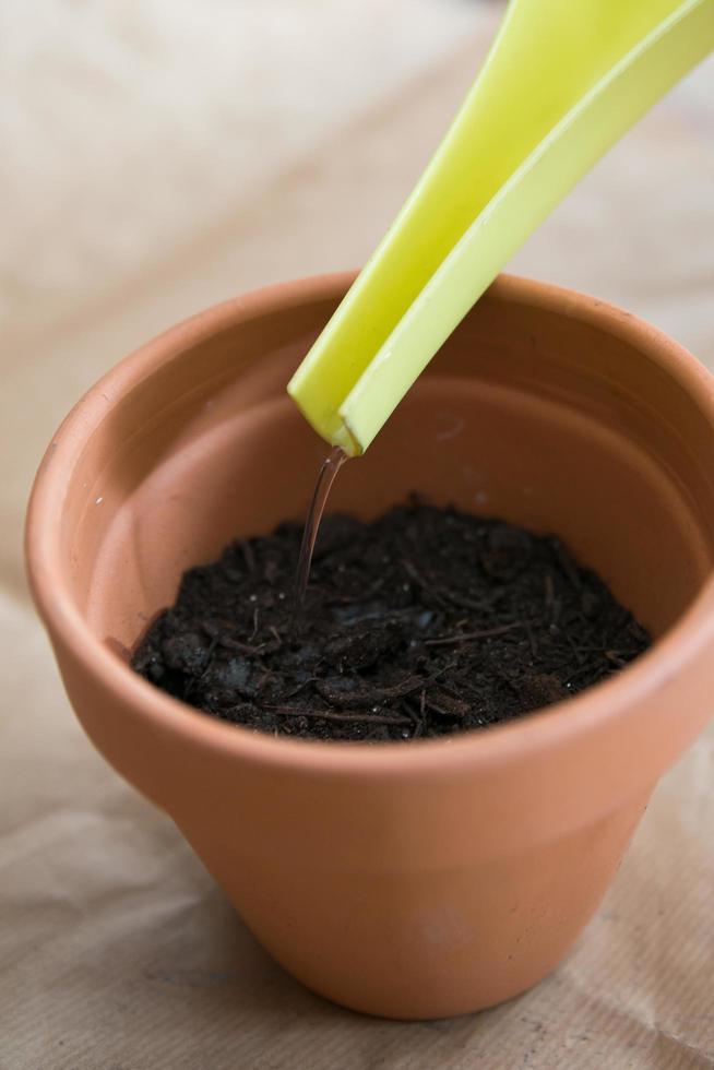 Close up of a clay pot after planting tomato seeds. Watering the soil smoothly wiith a green watering can. photo