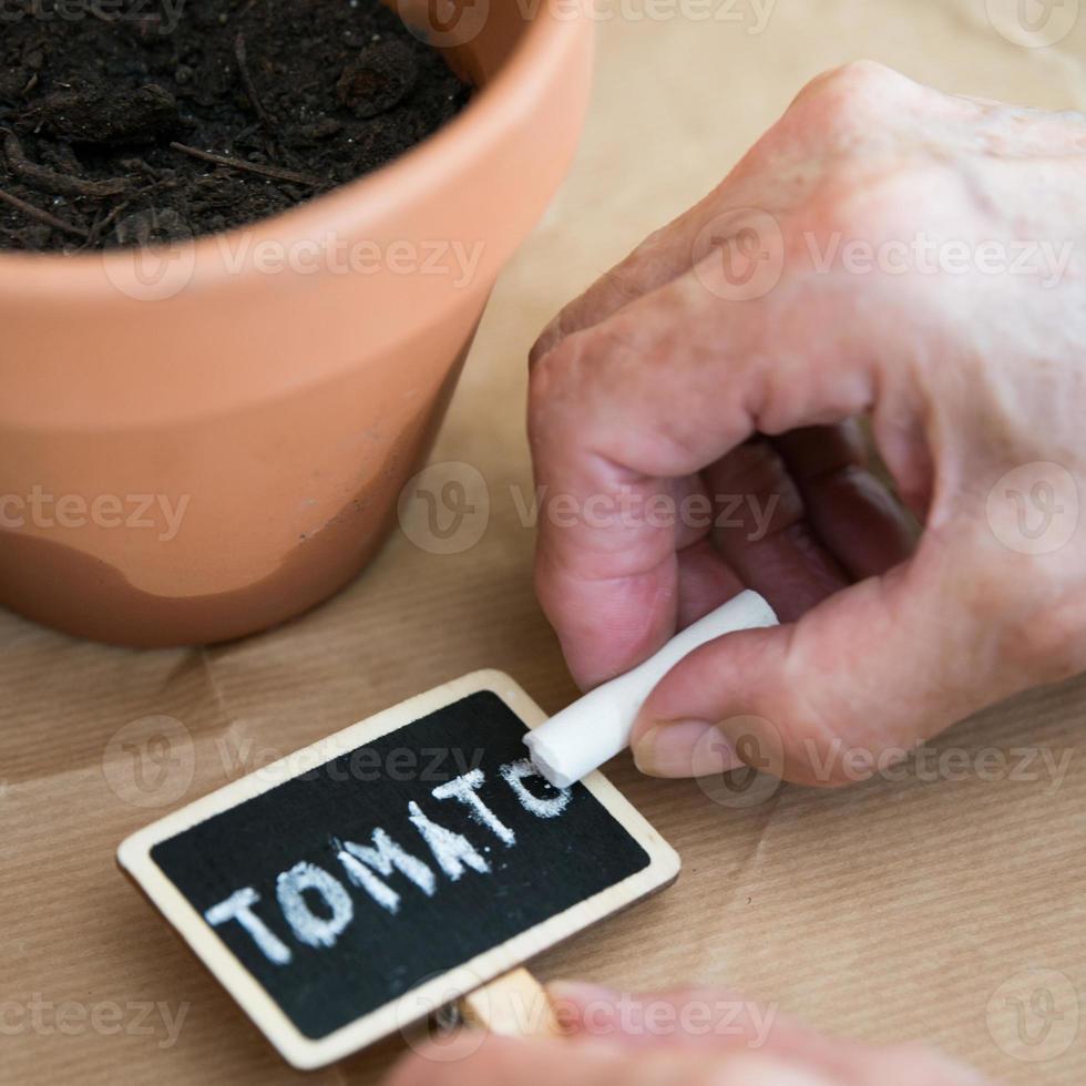 Close up of a hand of an aged caucasian woman writing tomato on a small blackboard sign after planting tomato seed in a clay pot. photo