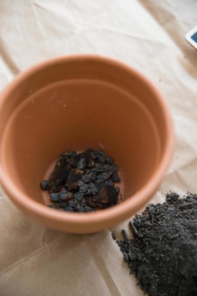 Planting tomato seeds at home. Pebbles at the bottom and soil to add. photo