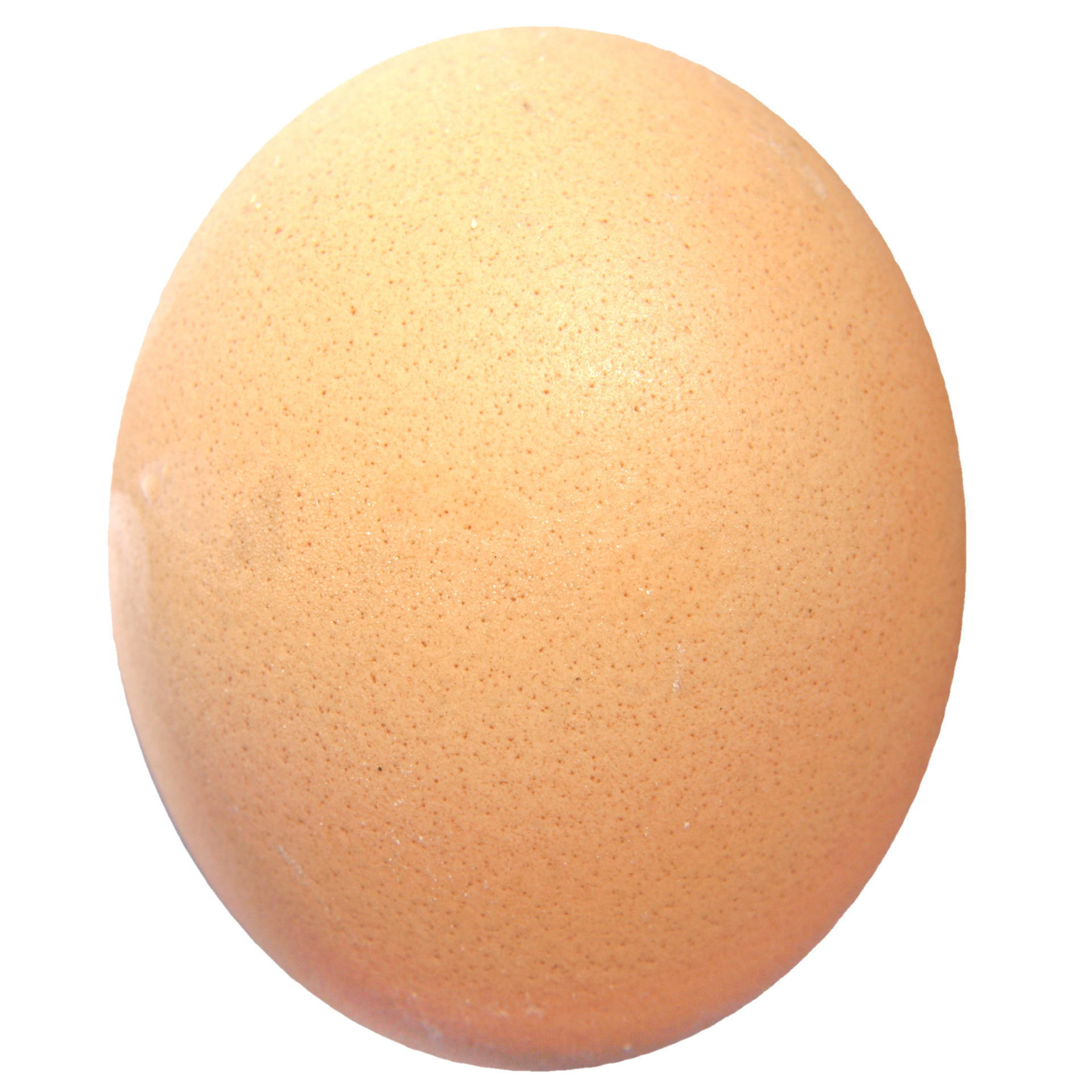 egg PNG transparent image download, size: 1000x1199px