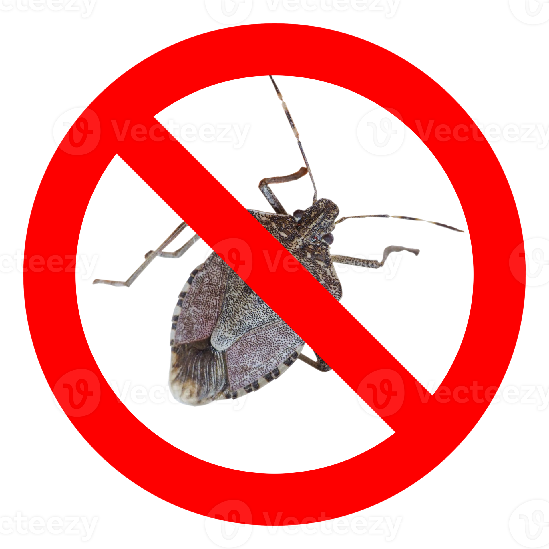 No bugs sign transparent PNG 8531245 PNG