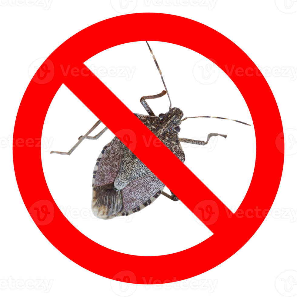 No bugs sign transparent PNG