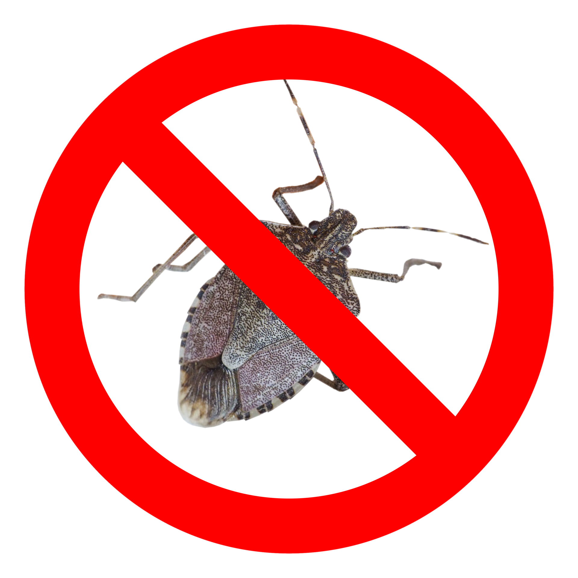 No bugs sign transparent PNG 8531245 PNG