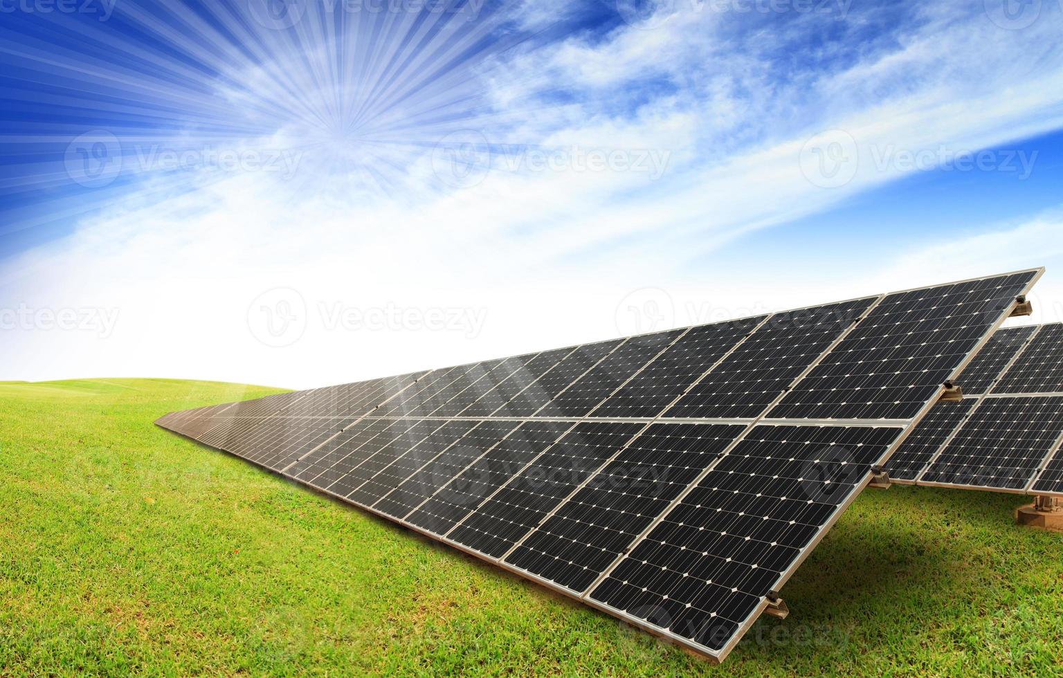 Solar panels on green grass with blue sky photo