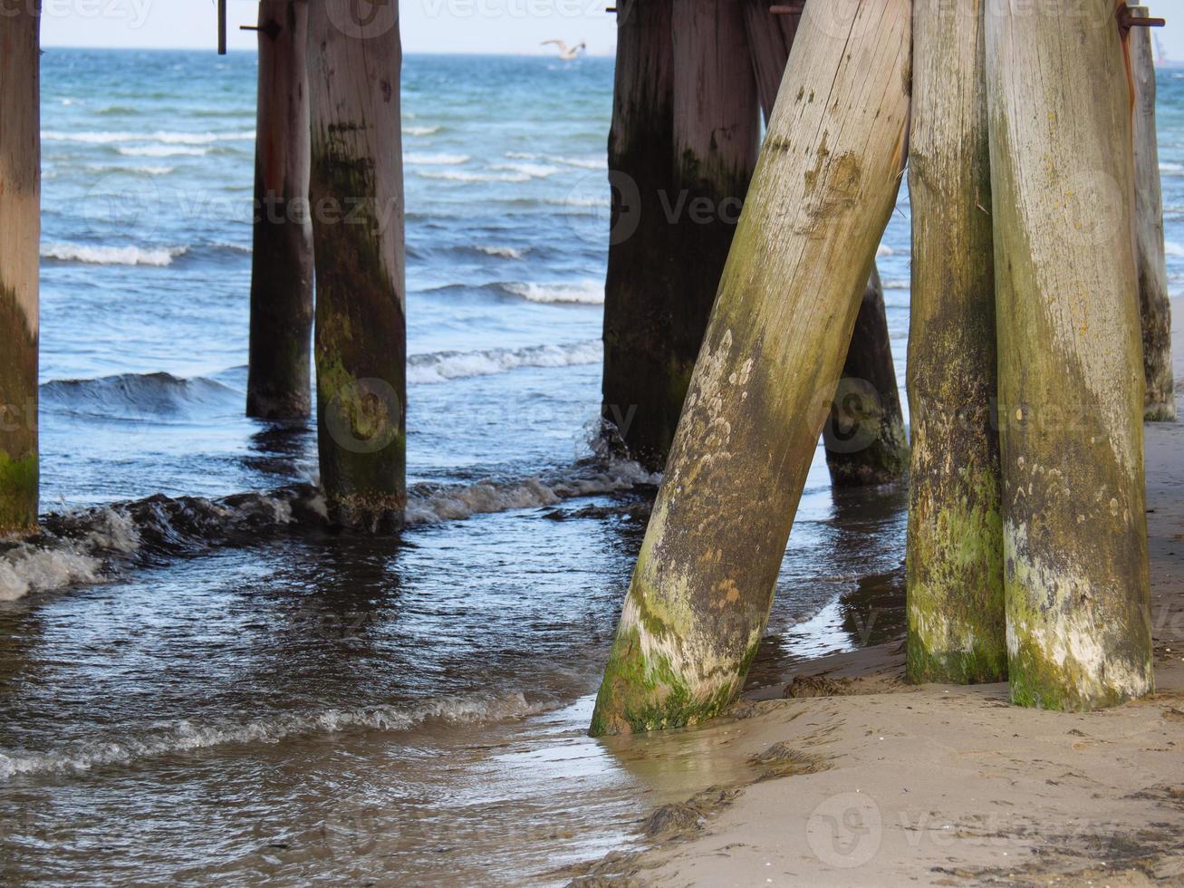 the beach of Sopot in Poland photo