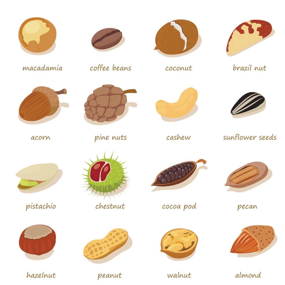Nuts and seeds icons set, isometric style vector