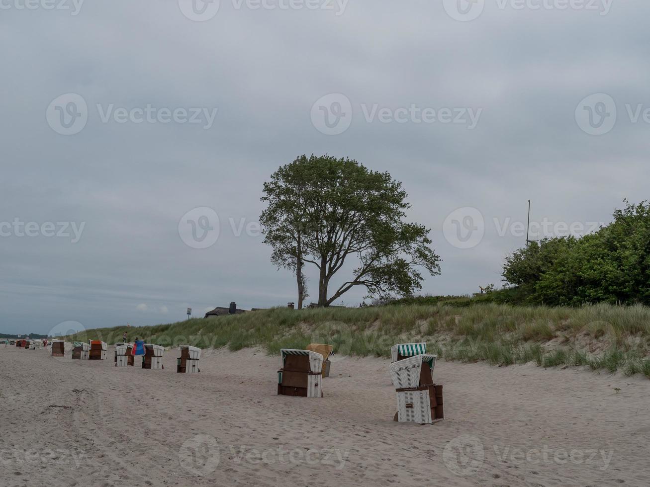 ahrenshoop at the baltic sea photo