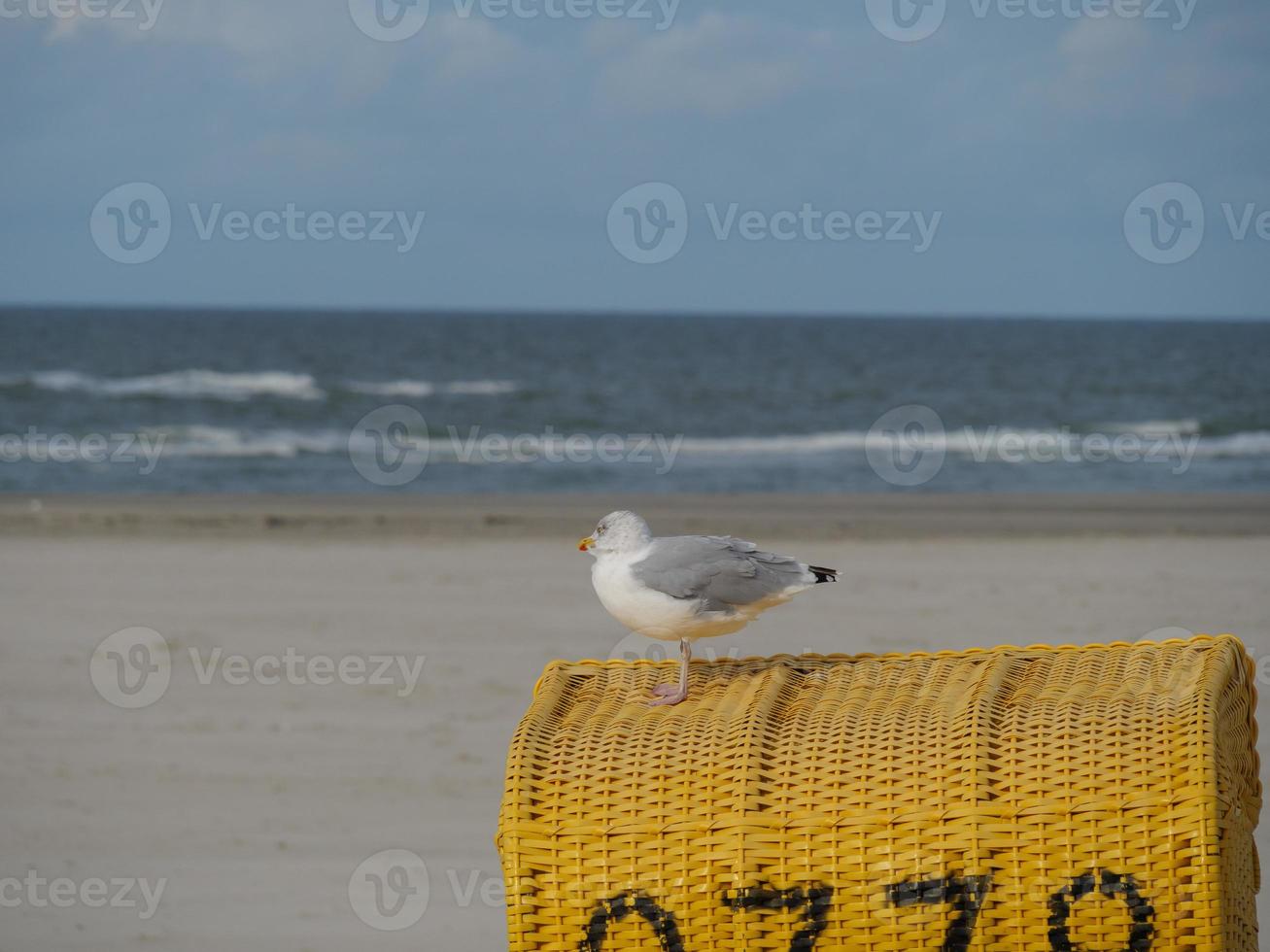 the beach of german island Juist photo