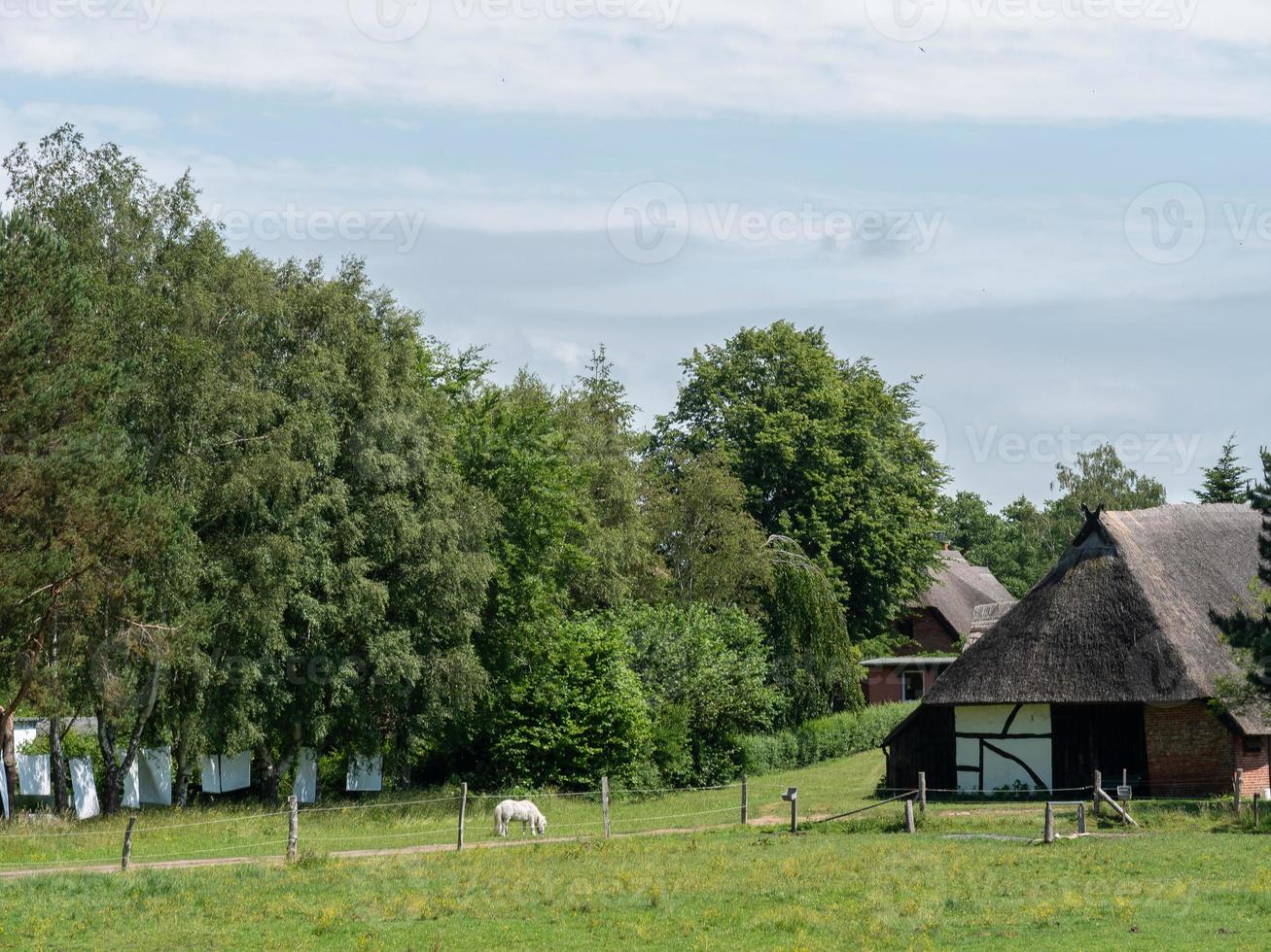 Ahrenshoop at the baltic sea in germany photo