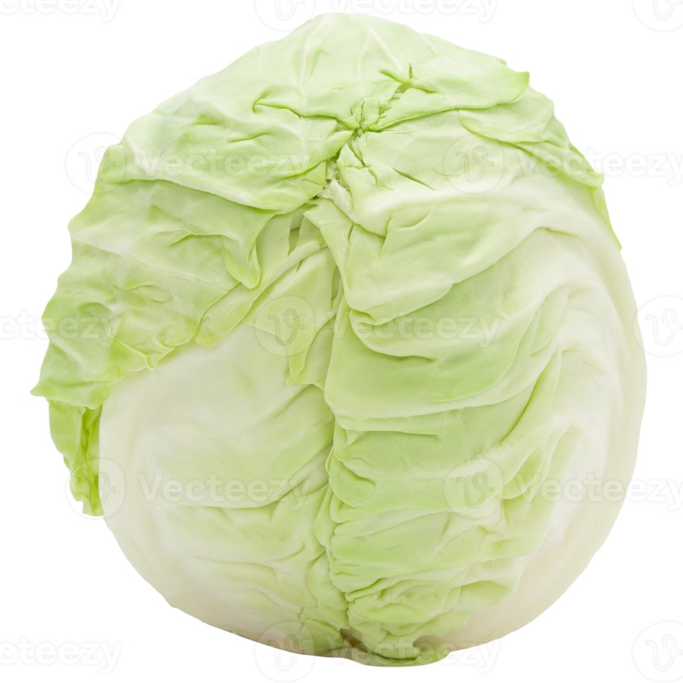 Cabbage cutout, Png file