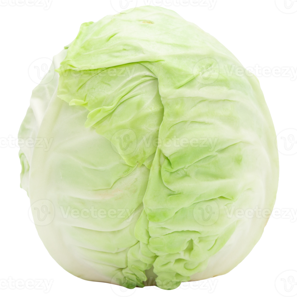 Cabbage cutout, Png file