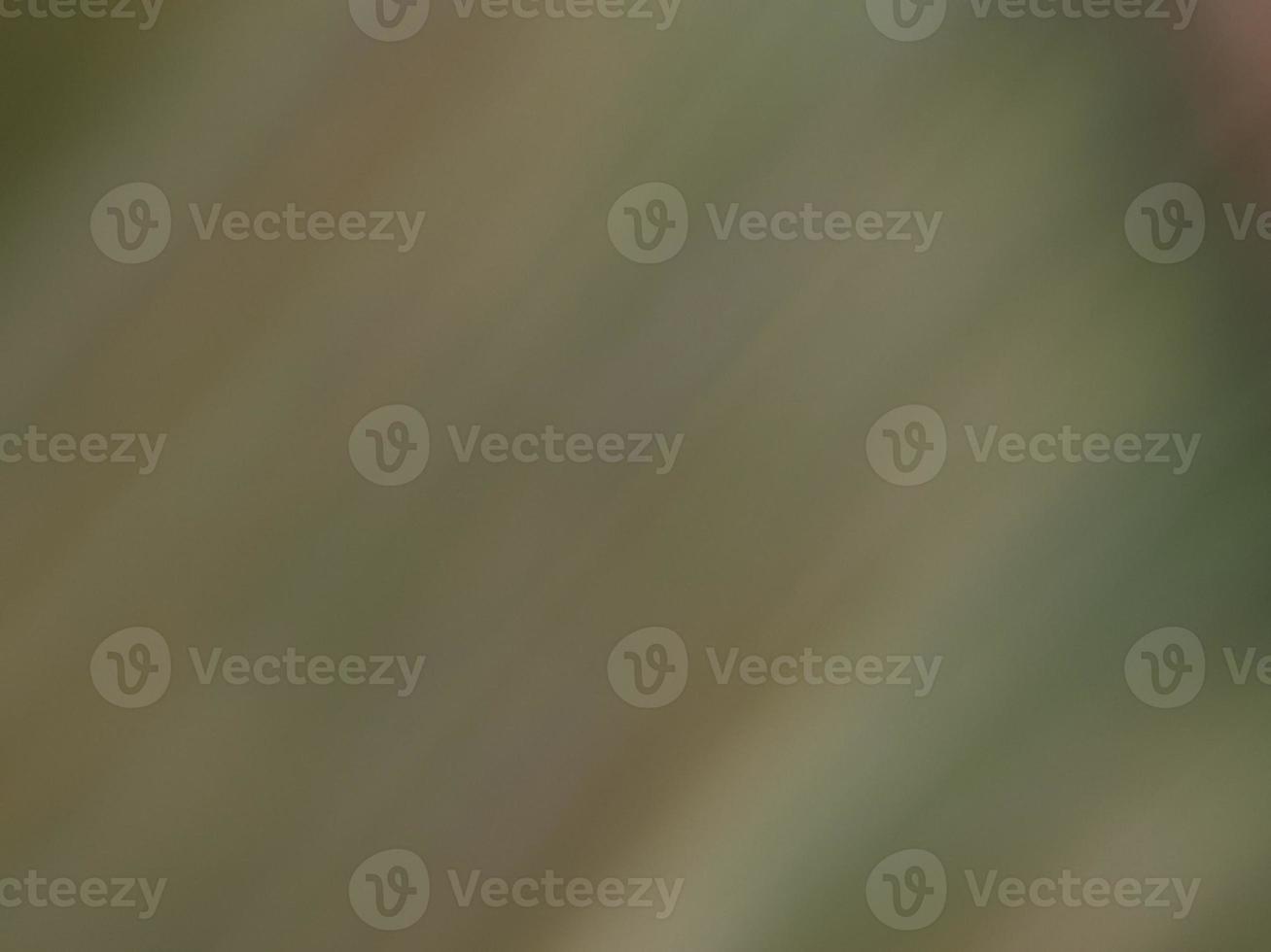 photo or image blur, bokeh, fresh background, cool