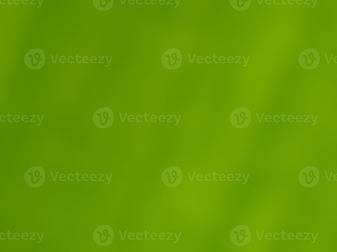 Blur image, beautiful natural green background photo