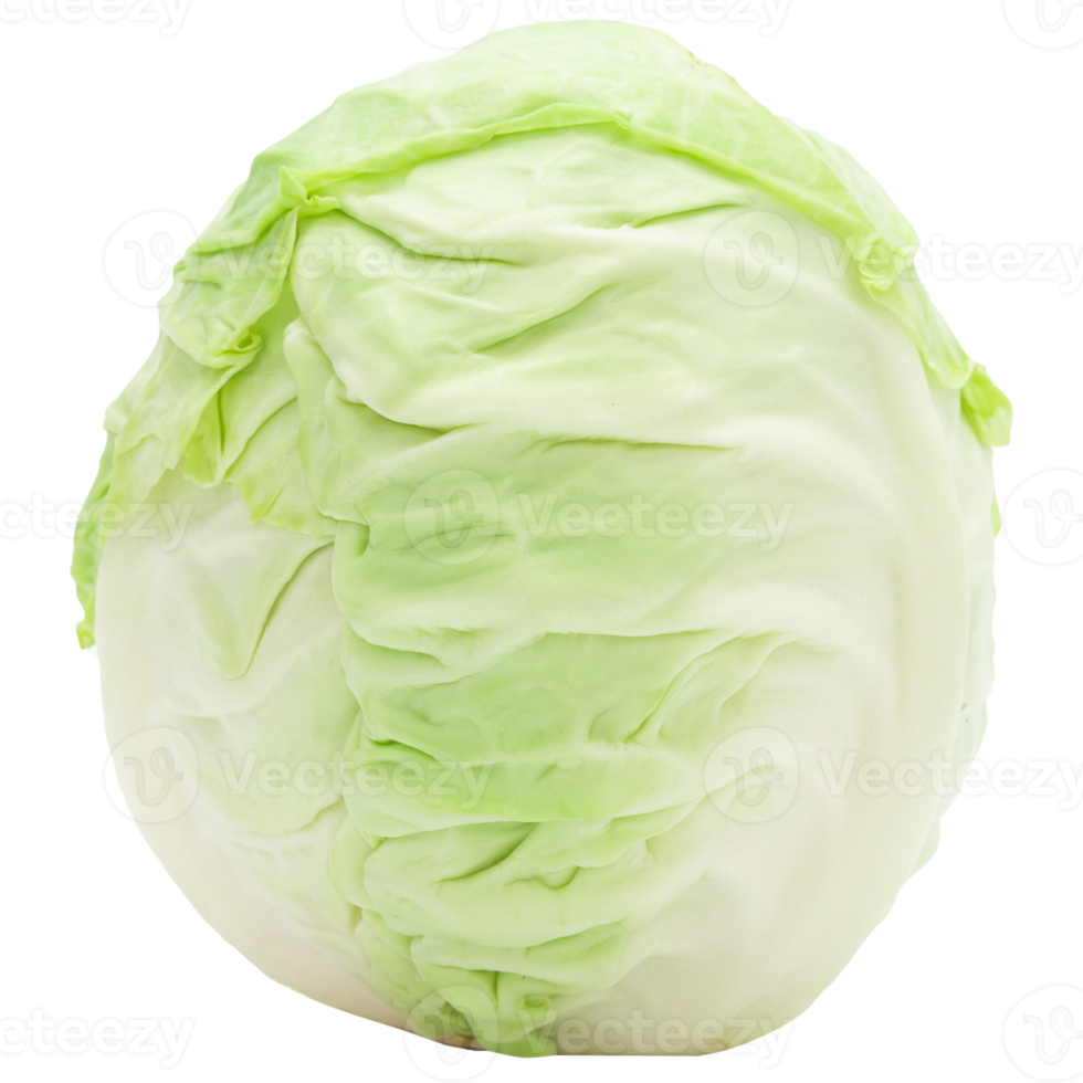 Cabbage cutout, Png file