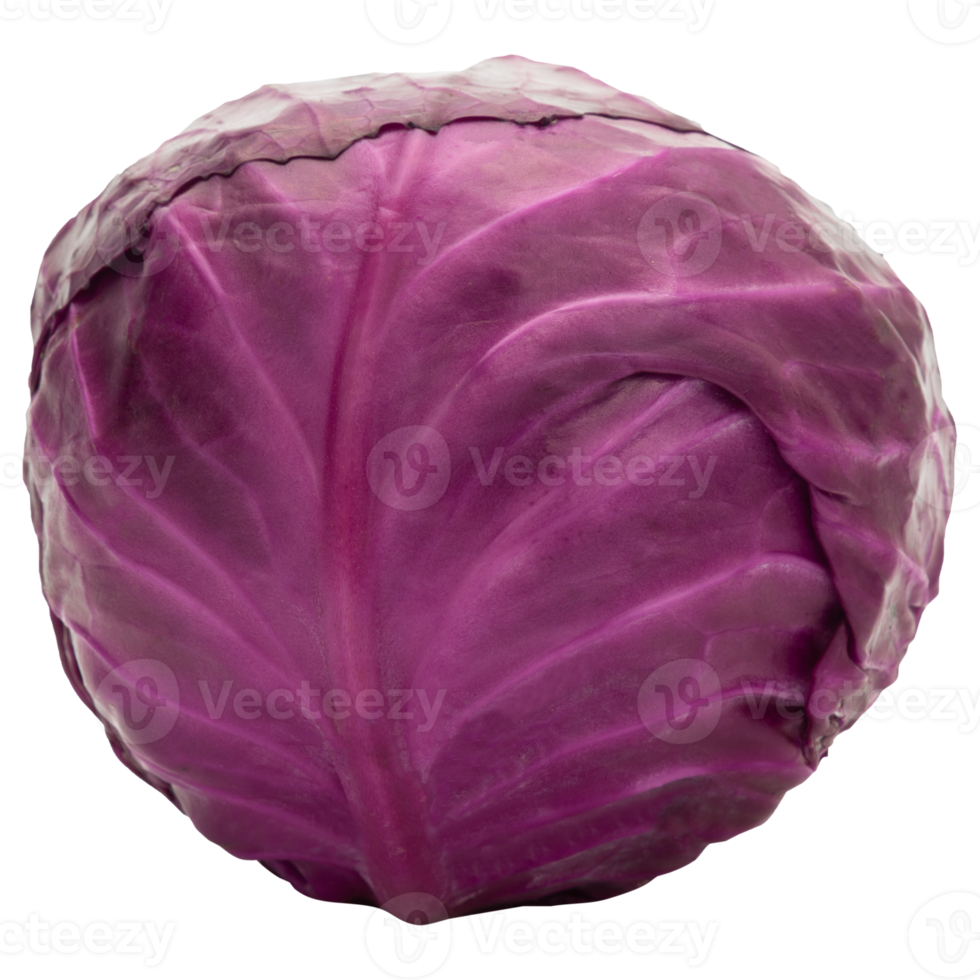 Red cabbage cutout, Png file