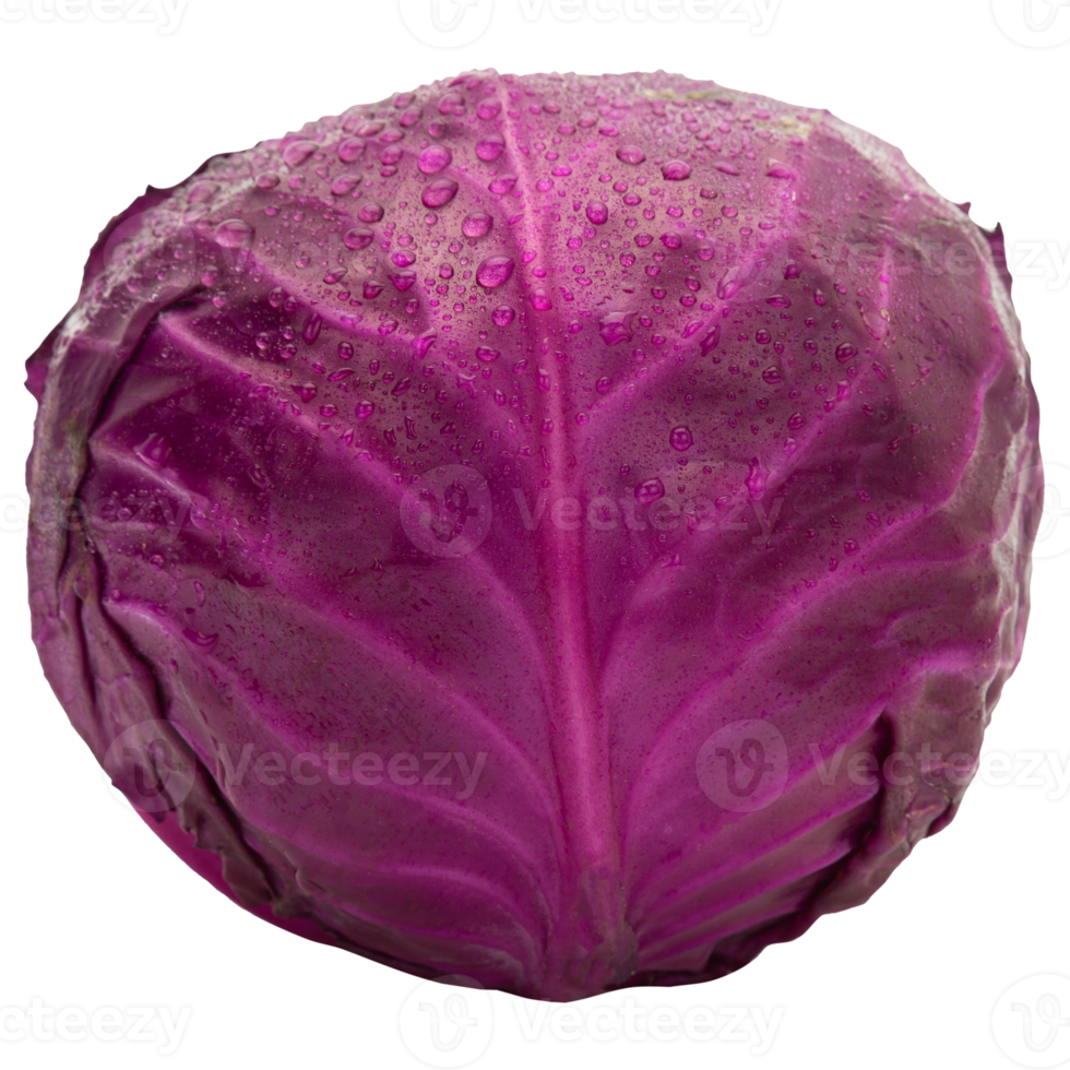 Red cabbage cutout, Png file