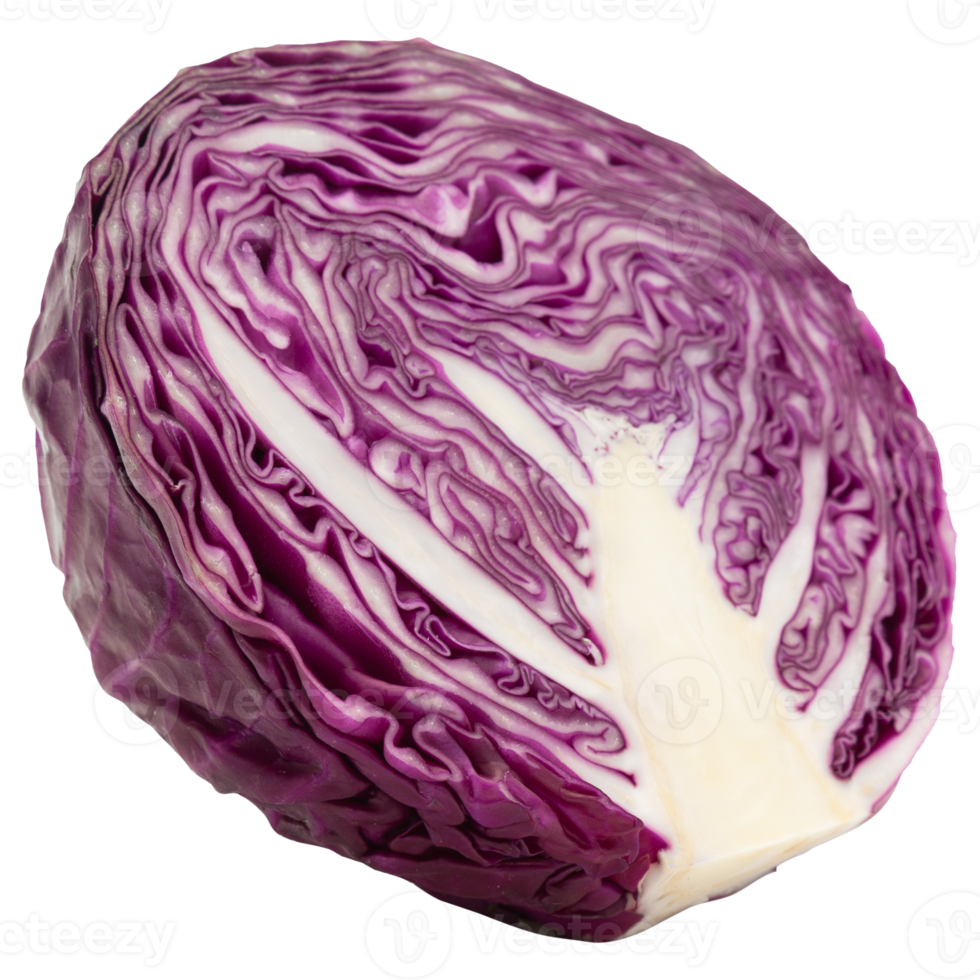 Red cabbage cutout, Png file