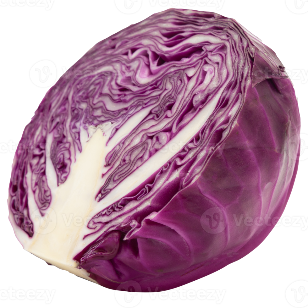 Red cabbage cutout, Png file