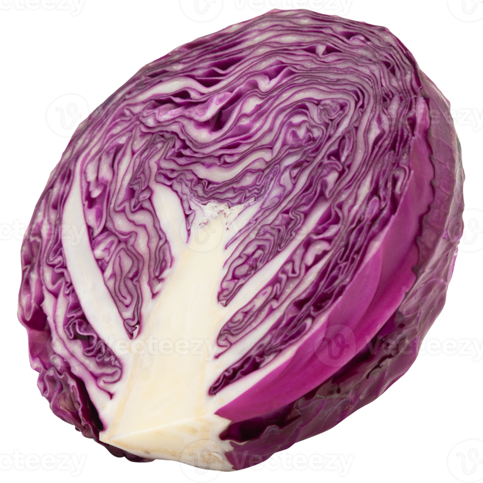 Red cabbage cutout, Png file