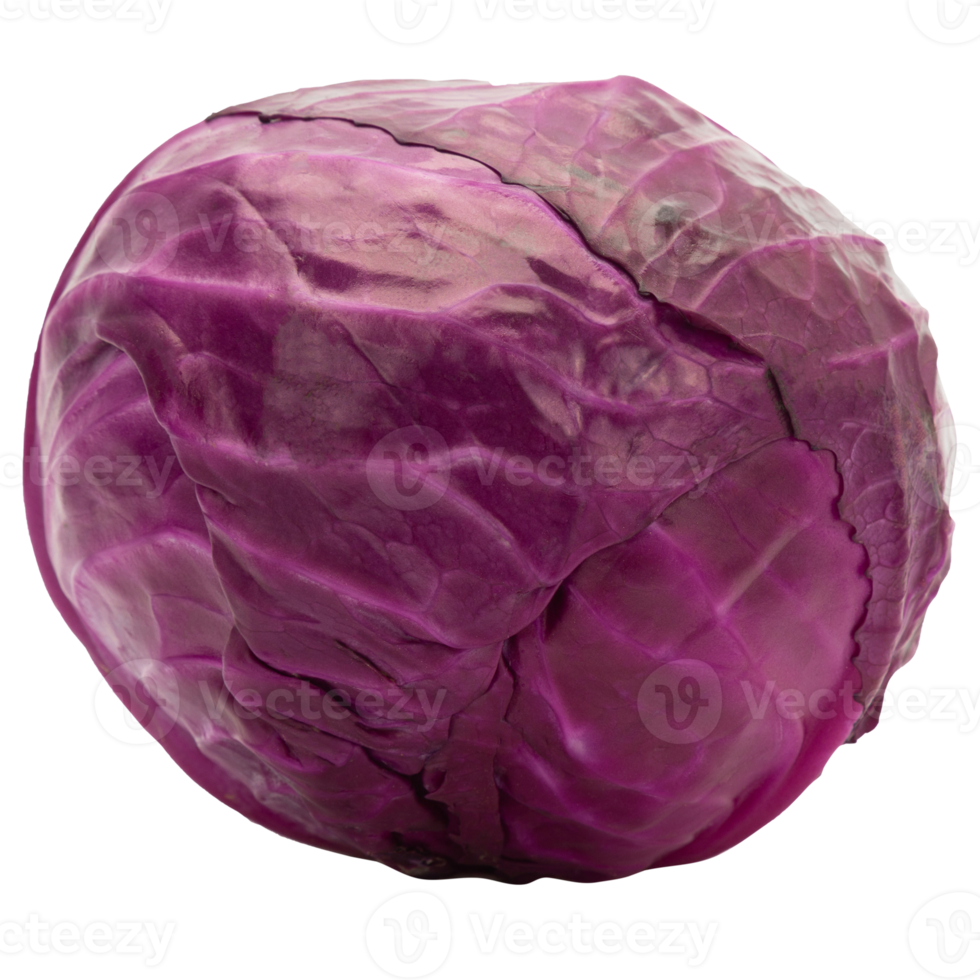 Red cabbage cutout, Png file