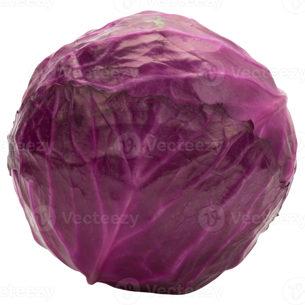 Red cabbage cutout, Png file