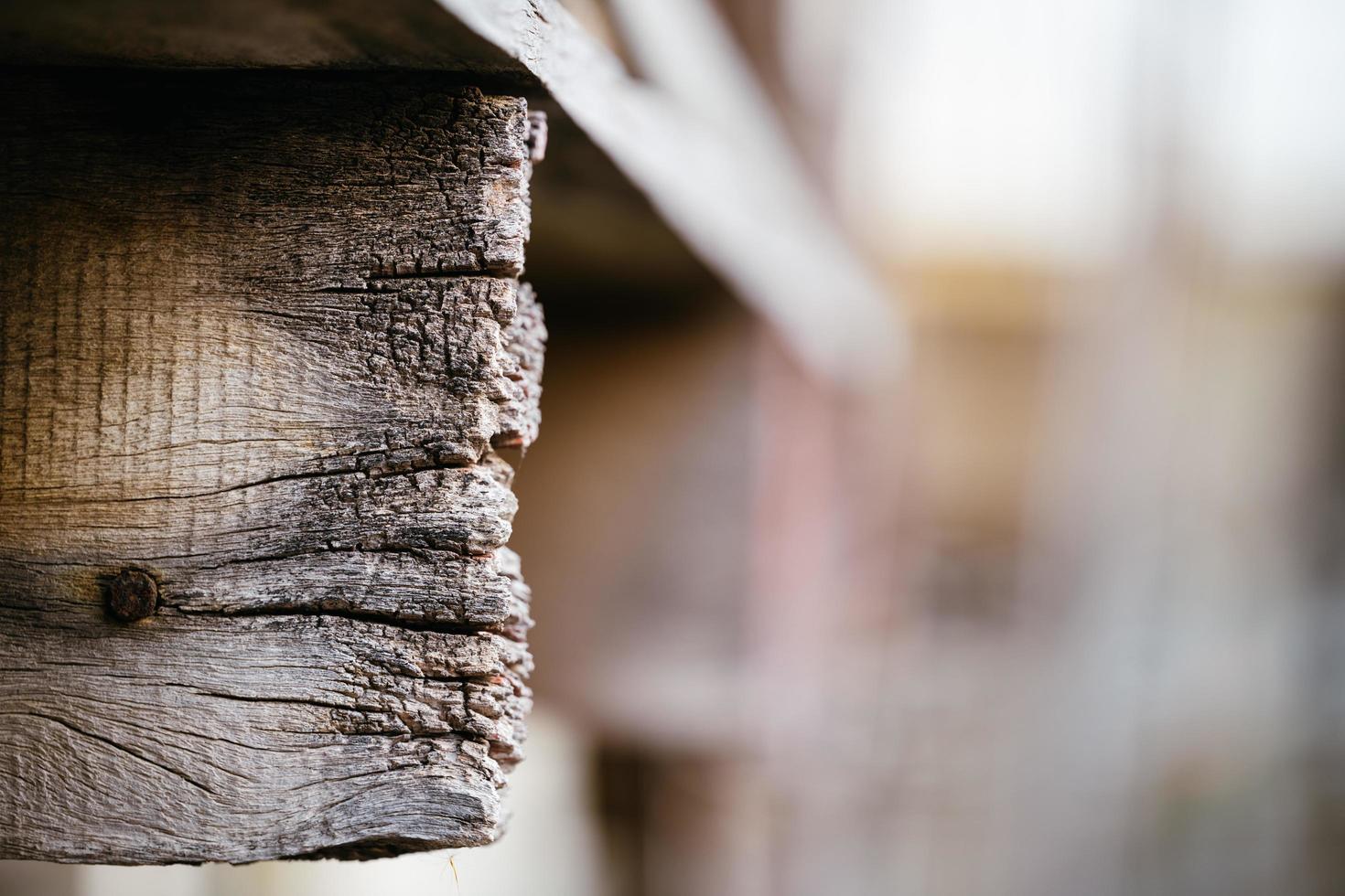 Texture of an old plank. Passing of time and impermanence. Empty space for entering text. photo