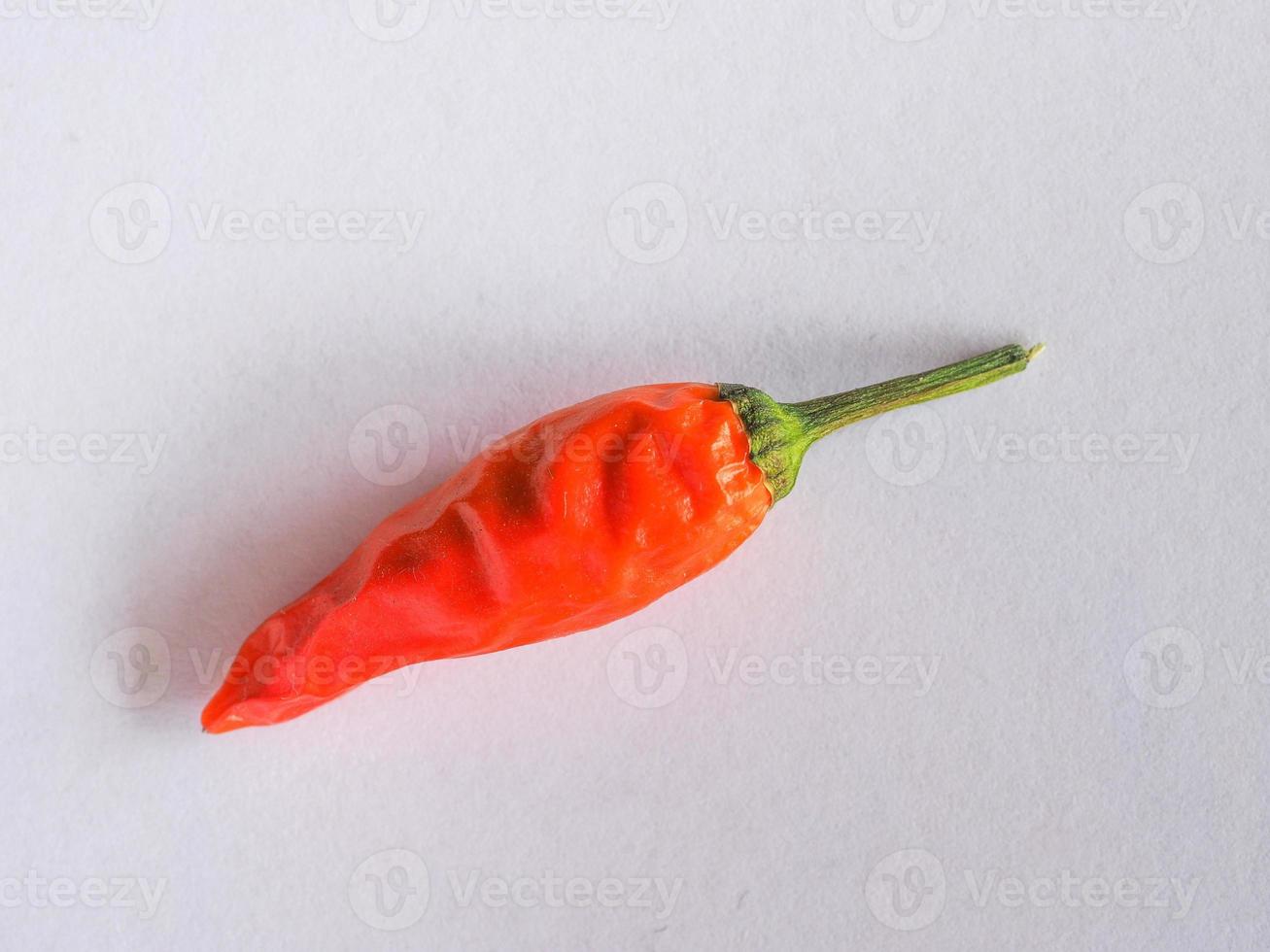 Chili Pepper Capsicum photo