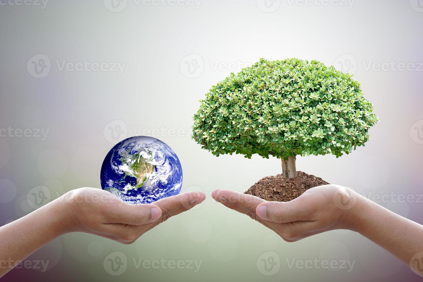National Annual Tree Care Day.World environment day.Human hand holding  tree and world on blurred nature background photo
