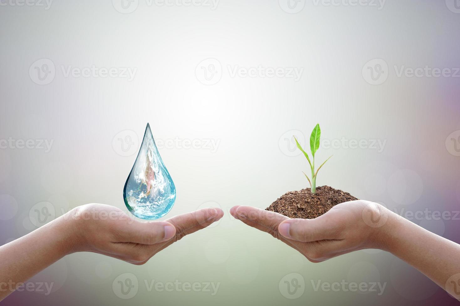 World Water Day Hands waiting for the world in water drop shape on background blurred flowers and sky with the light of the sun. Elements of this image furnished by NASA. photo
