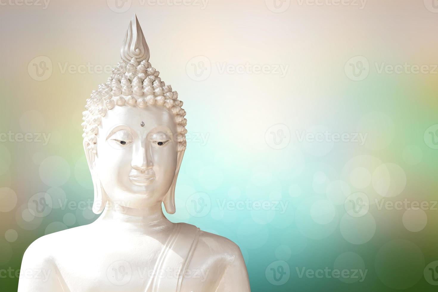 Buddha statue. background blurred flowers and sky with the light of the sun. photo