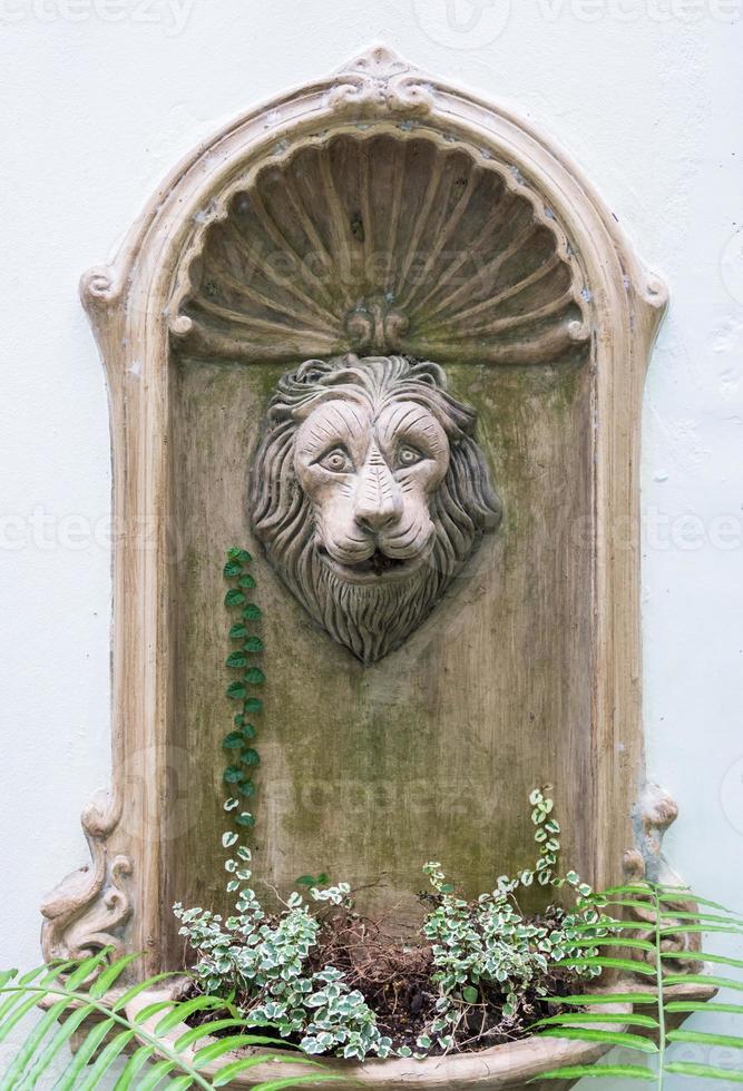 Old lion head fountain photo
