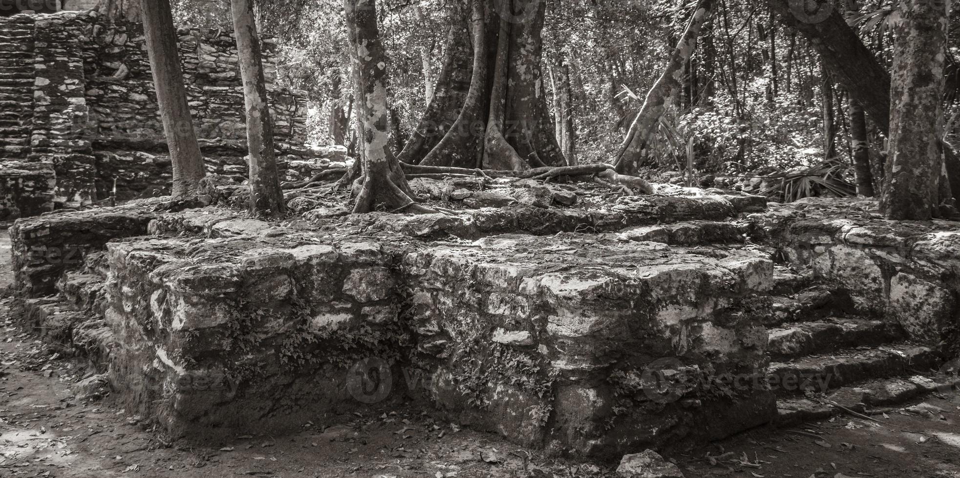 Ancient Mayan site with temple ruins pyramids artifacts Muyil Mexico. photo