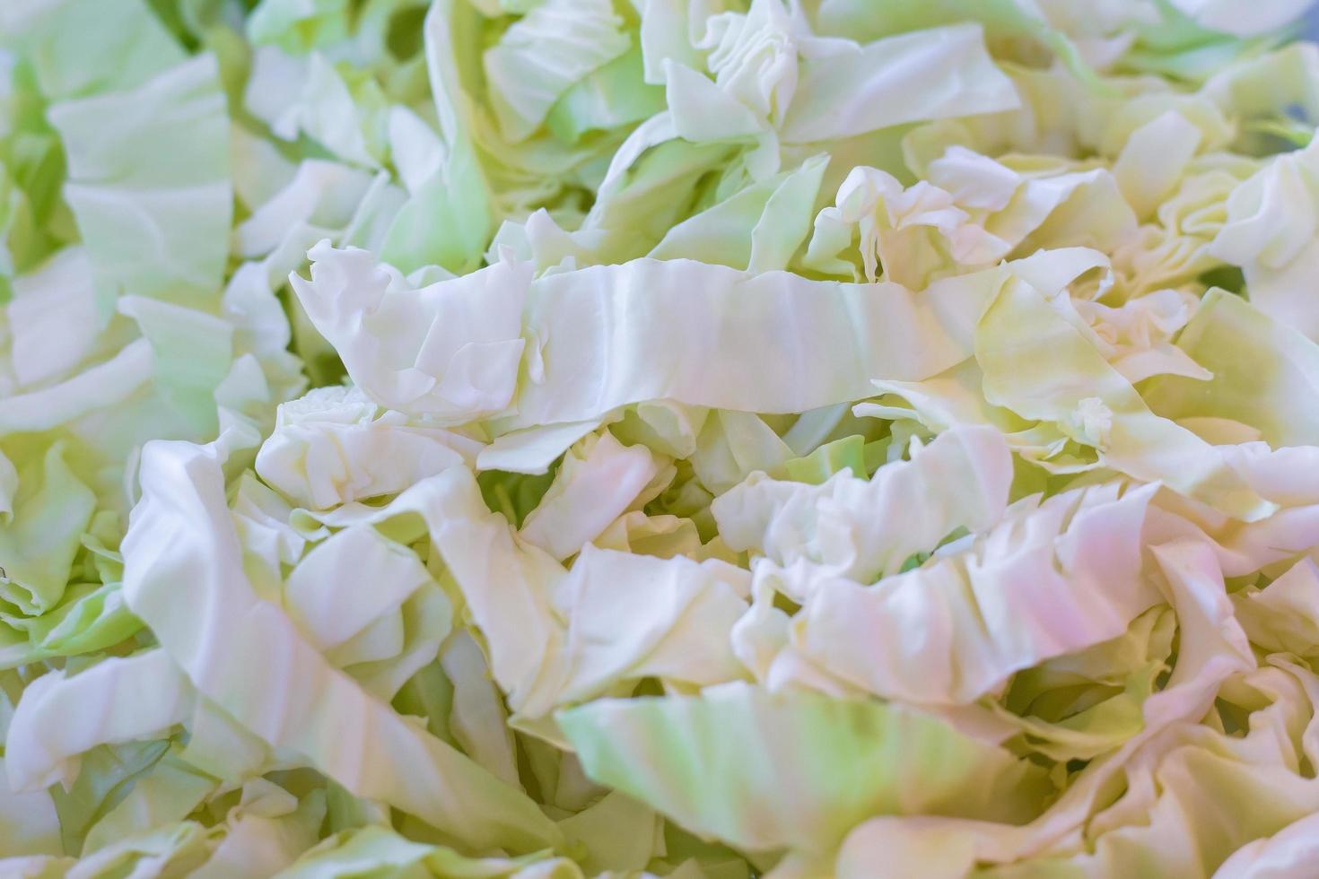 Fresh white cabbage chopped was served in Sukiyaki Shabu restaurant. It is a vegetable and white or pale green leaf. photo