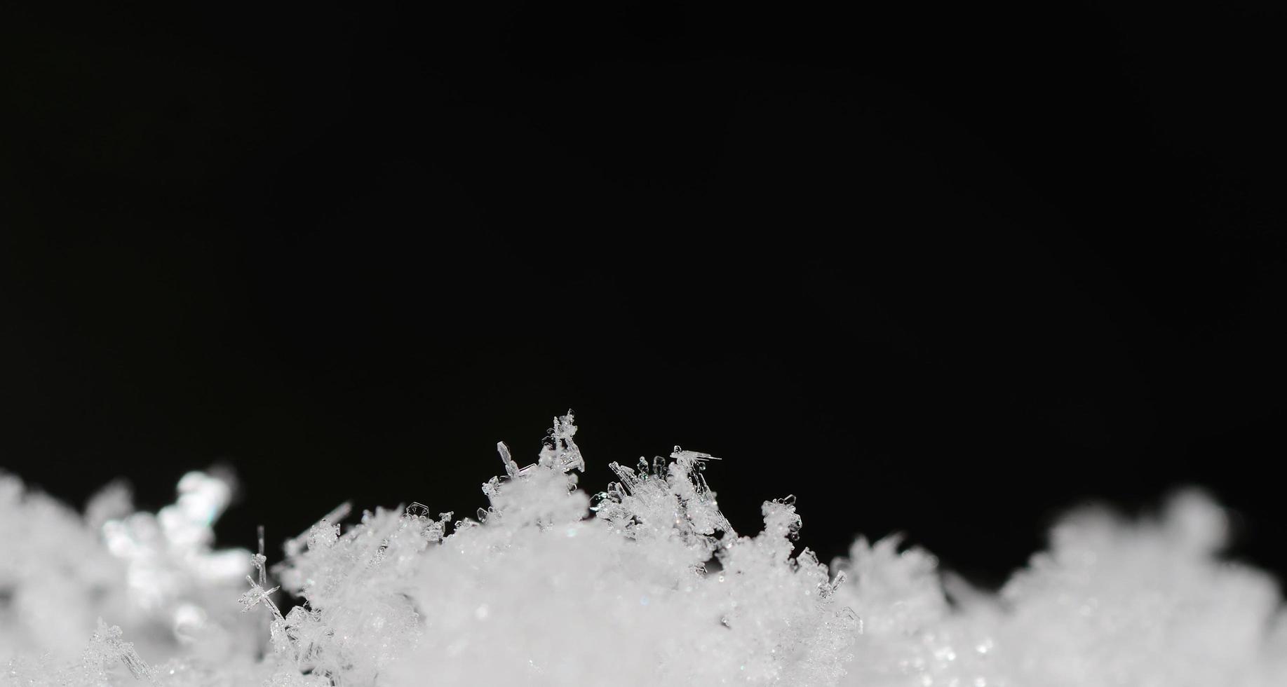 delicate crystals in snow panoramic photo