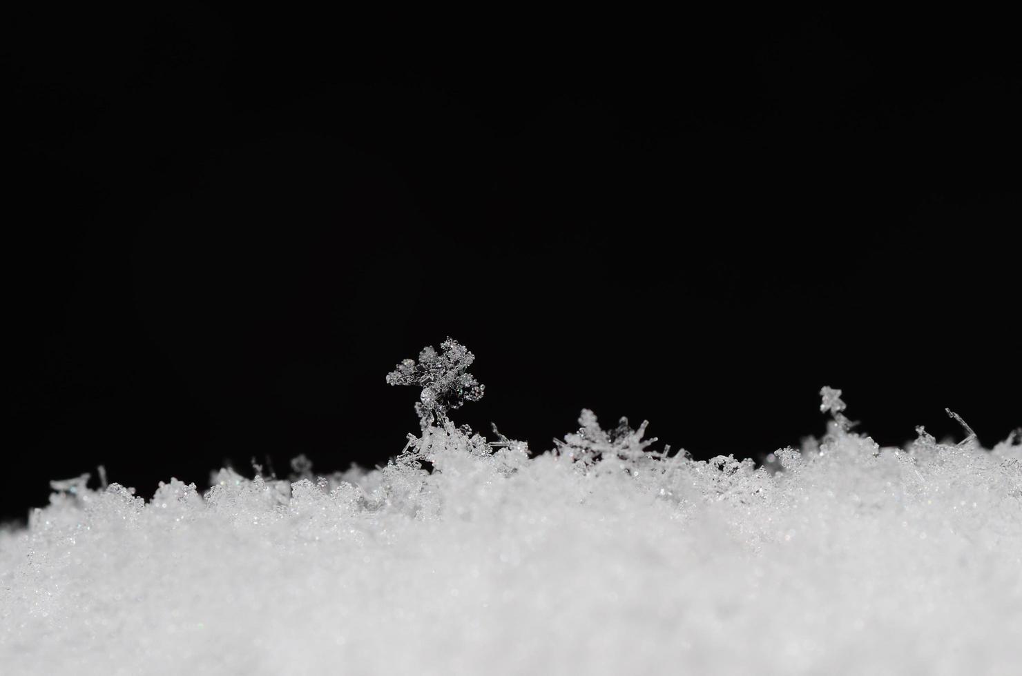 estructuras delicadas en la nieve sobre negro foto