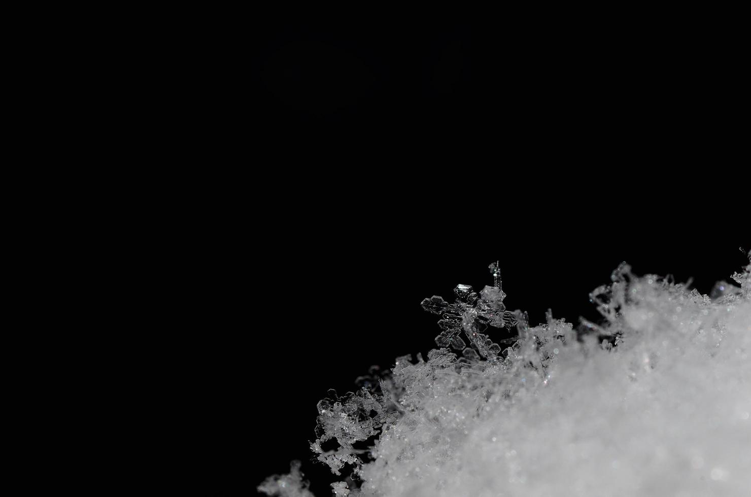 delicate translucent crystals in snow photo