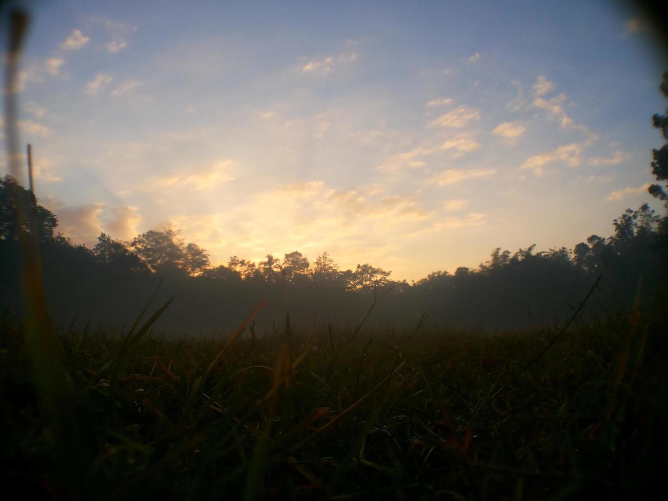 puesta de sol por la mañana con mucha niebla foto