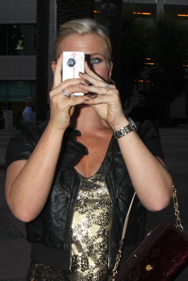 LOS ANGELES, SEP 28 - Alison Sweeney arrives at  Celebrating 45 Years of Days of Our Lives at Academy of Television Arts and Sciences on September 28, 2010 in No. Hollywood, CA photo