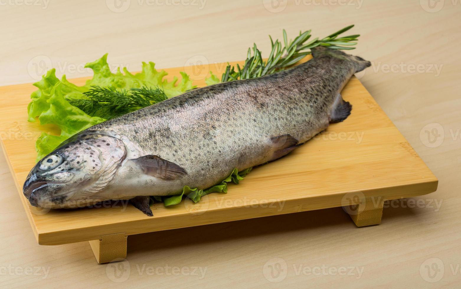 Raw fresh trout photo