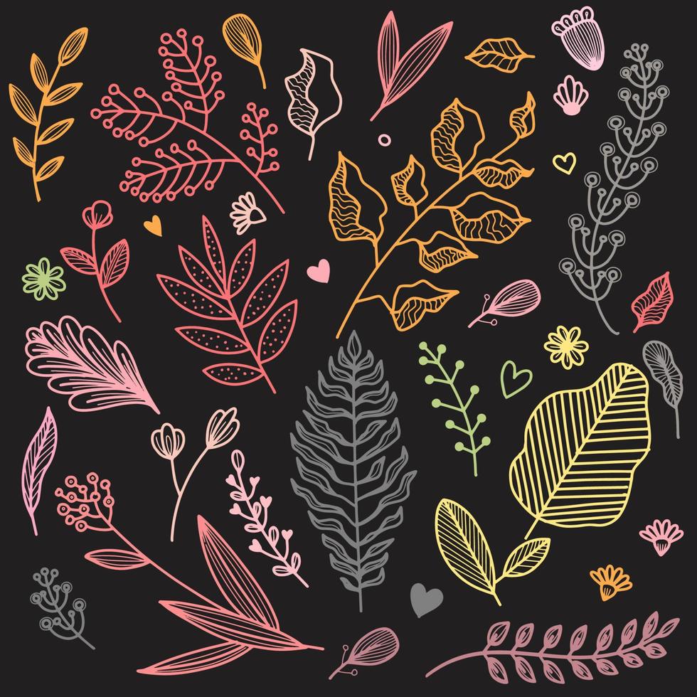 Tropical Leaves in doodle style. Vector hand drawn black line design elements.