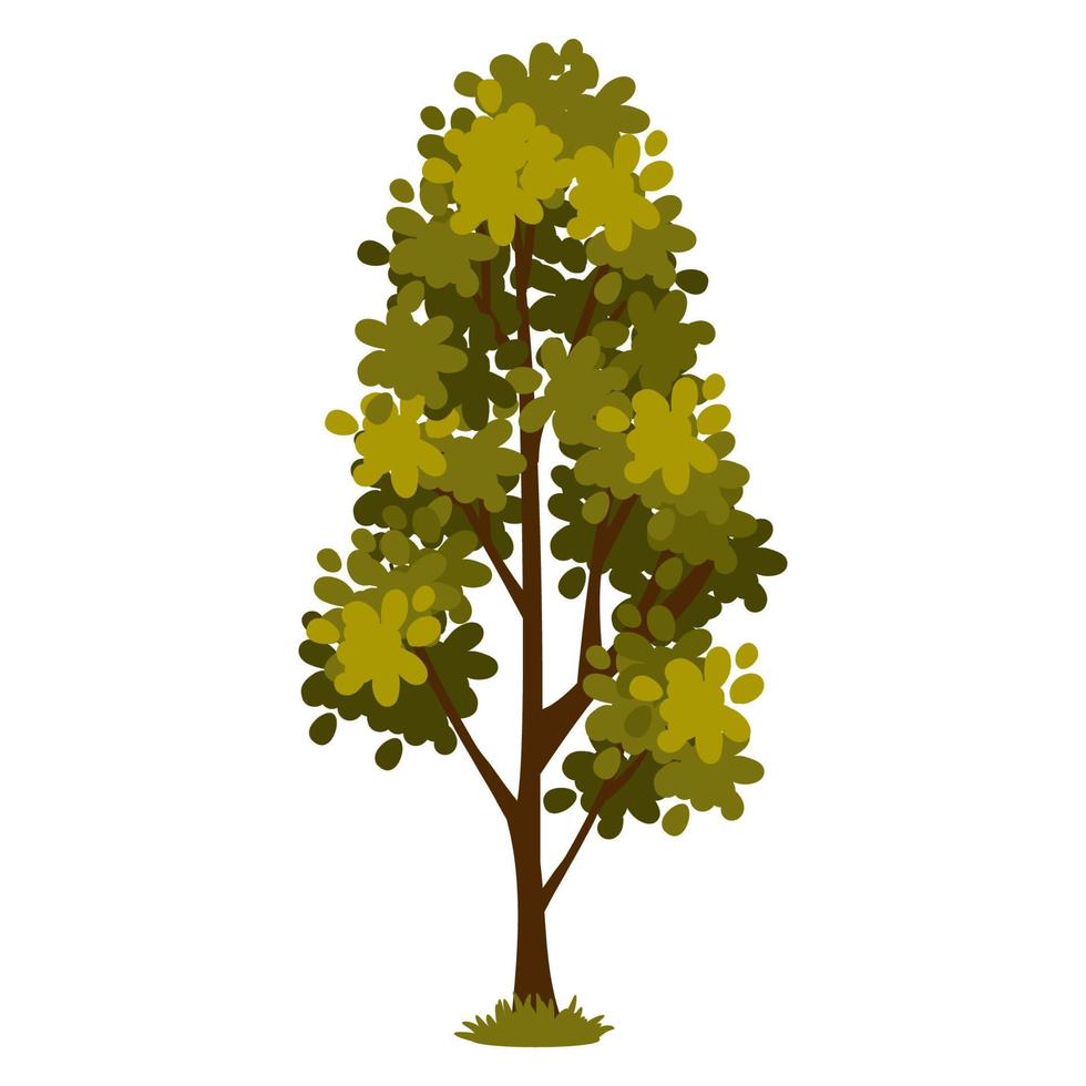 árbol verde de dibujos animados aislado en un fondo blanco. elemento vectorial para el paisaje de primavera o verano. vector