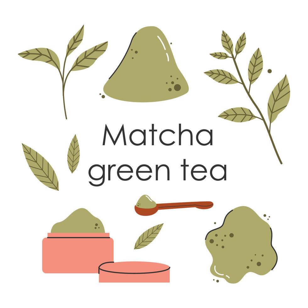 un juego de hojas de té verde matcha. cultura japonesa del té. matcha latte es una bebida saludable. ilustración de moda de color vectorial dibujada a mano. vector