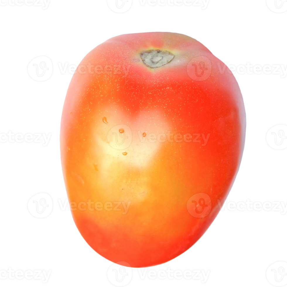 tomato vegetable transparent PNG